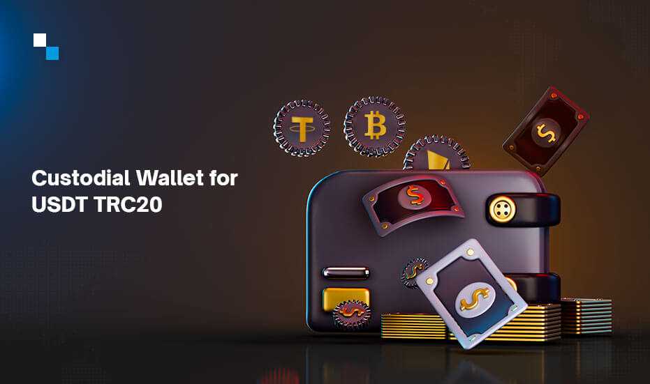 Why Use a USDT Wallet?