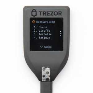 7. Reconnect Your Trezor Model T