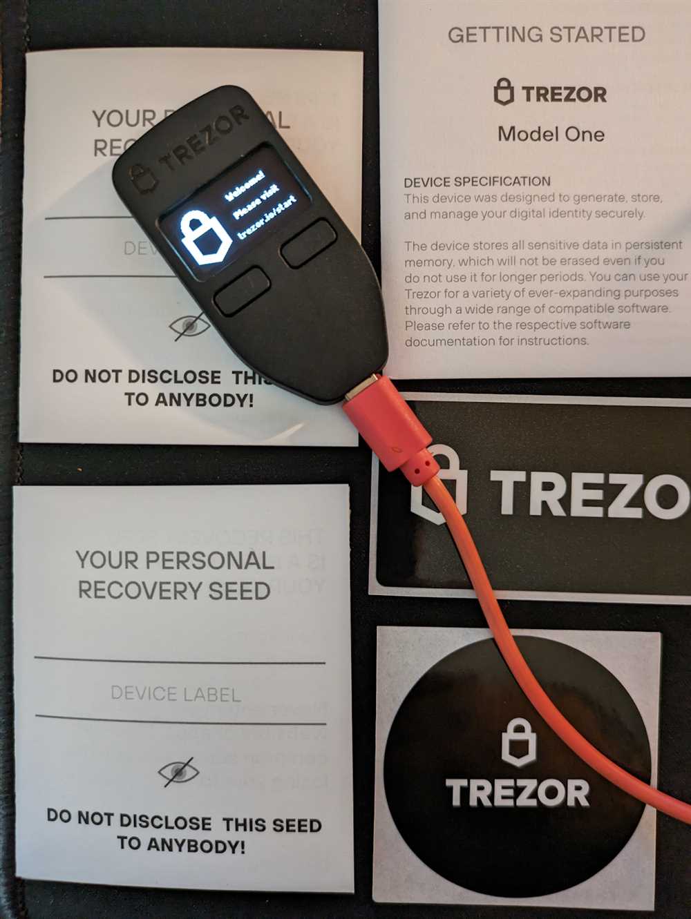 Step 1: Access your Trezor Wallet